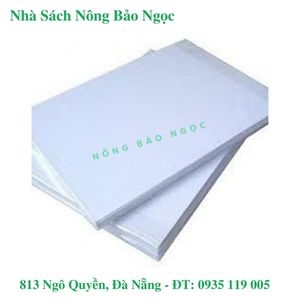 CÔNG TY TNHH MTV NÔNG BẢO NGỌC