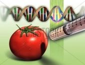 HIỆN TRẠNG THỰC PHẨM BIẾN ĐỔI GEN GMO ĐÁNG BÁO ĐỘNG