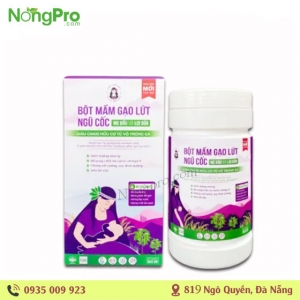 Bột mầm gạo lứt ngũ cốc mẹ bầu và lợi sữa 500gr