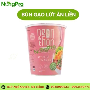 BÚN GẠO LỨT NGON & THON - TẢO XOẮN CHUA CAY