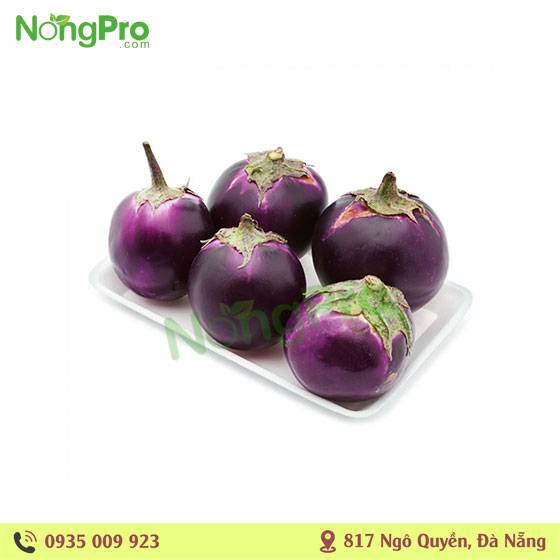 Cà tím tròn măng đen (100g)