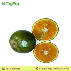Cam sành Năm Hạng USDA(100g)
