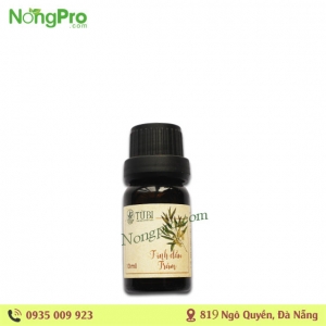 Tinh dầu tràm  10ml