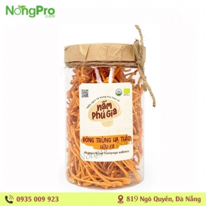 Đông Trùng Hạ Thảo Khô Hữu Cơ 30g