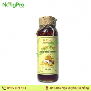 đông trùng hạ thạo ngâm mật ong 330ml