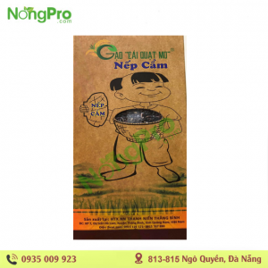Gạo nếp cẩm- Cái Quạt mo 1 kg