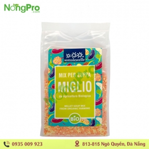 Hạt dinh dưỡng Hữu cơ 2 loại hạt Sottolestelle 400g