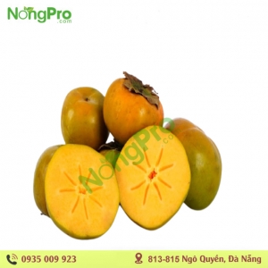 Hồng giòn Đà Lạt (100gr)