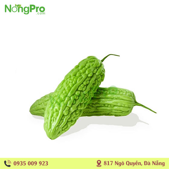 Khổ qua PGS (100g)