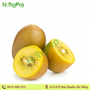 Kiwi vàng New Zealand (100g)