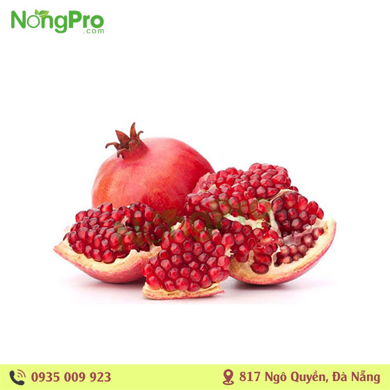 Lựu Thổ Nhỉ Kỳ (100g)
