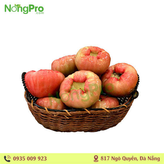 Mận đào đá Tiền Giang (100g)