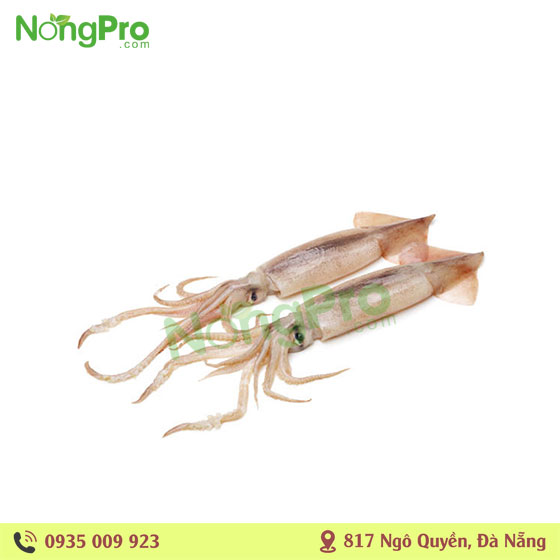 MỰC CƠM KHANG TƯỜNG 500G