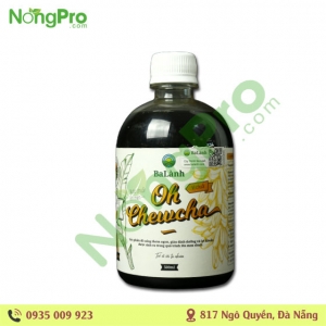 Oh chewcha nước chuối lên men Ba Lành 500ml