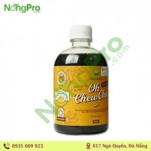 nước Oh chewcha vị chuối mật ong Ba Lành 500ml