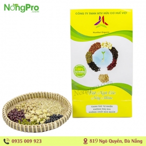 Bột ngũ cốc nảy mầm Huế Việt 500g