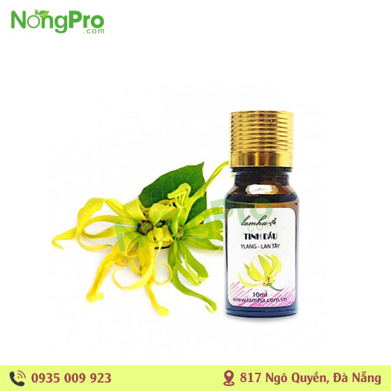 Tinh Dầu Hoa Lan Tây LamHa 10ml