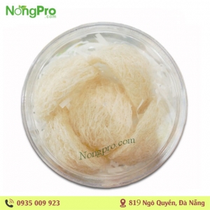 Tổ Yến Thô 50g