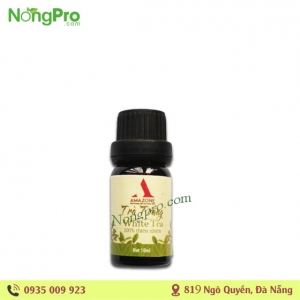 Tinh Dầu Amazone 10ml - Trà Trắng