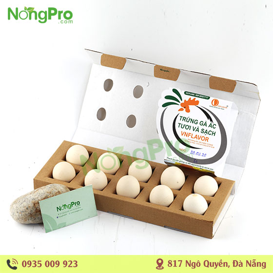 TRỨNG GÀ ÁC VNFLAVOR 10 TRỨNG Hộp