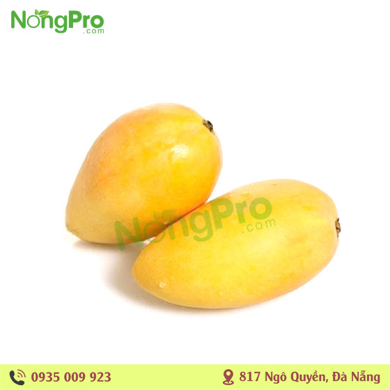 Xoài Cát Hòa Lộc (100g)