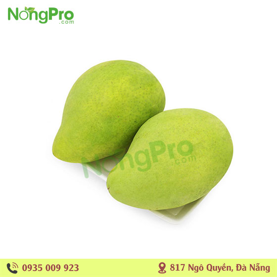 Xoài Tứ Quý (100g)