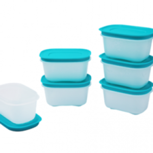 Bộ hộp trữ đông Mini Freezermate 170ml (6)