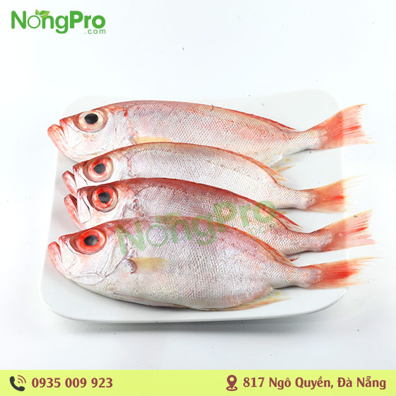 Cá bã trầu lưới (100g)