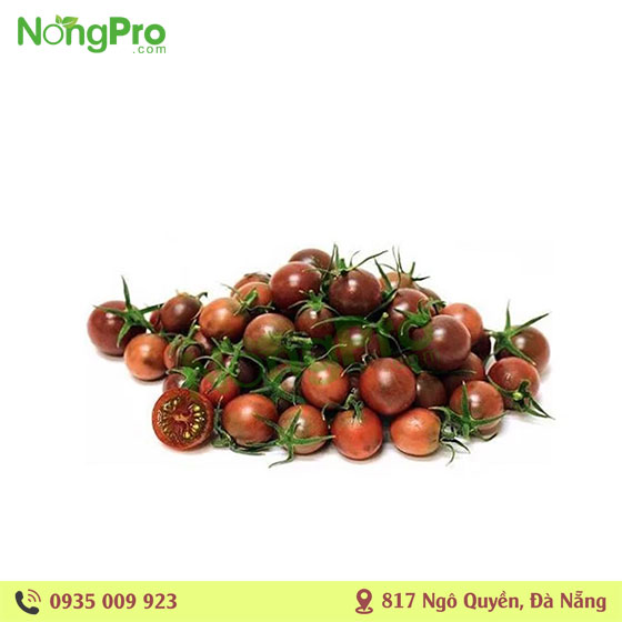 Cà chua Socola Đà Lạt (100g)