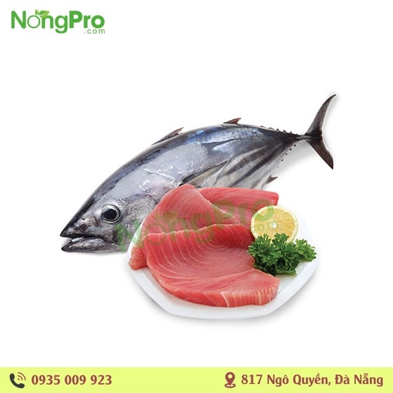 Cá ngừ đại duơng (100g)