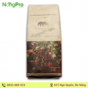 cà phê sinh thái vườn rừng Mạnh Đường farm