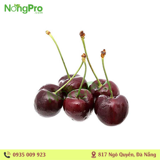 Cherry Chile(100g)