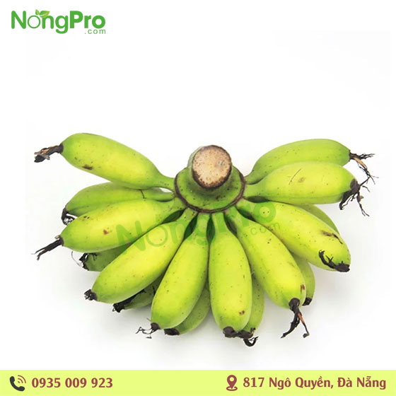 Chuối Ngự (100g)