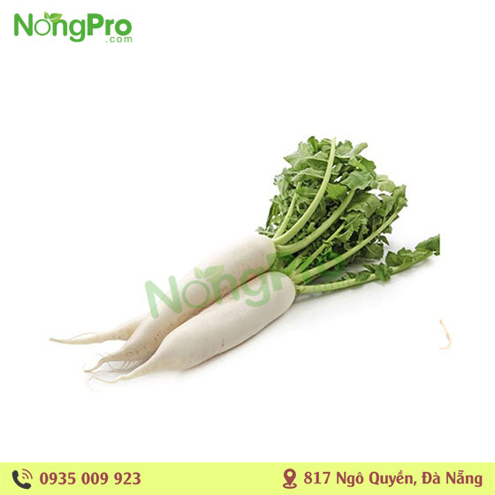 Củ cải trắng hữu cơ  (100g)