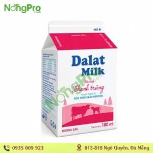 Sữa thanh trùng Dalat milk vị dâu 180ml