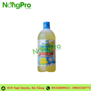 Dầu hạt cải Nhật 1L