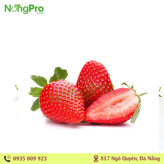 Dâu Hàn Quốc 250gr