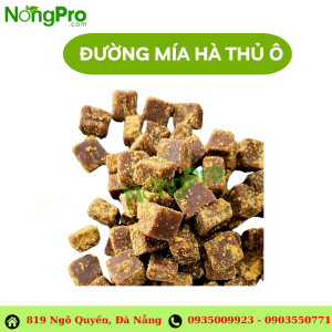 Đường Mía Hà Thủ Ô 1KG