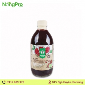 Giấm lựu hữu cơ (Có giấm cái) ProBios 500ml