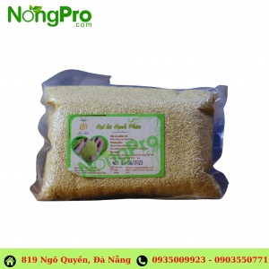 Hạt kê nếp Hạnh Phúc 500gram
