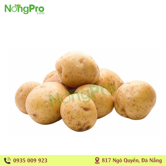 Khoai tây hữu cơ (100g)