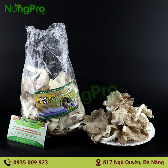 Nấm Sò Tím 500g