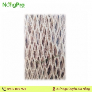 Phở Sắn Củ Dền Caromi 250g