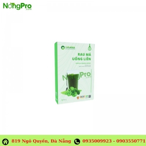 Rau Má Uống Liền ORAMA Không Đường ( 6 gói x 3 gram)