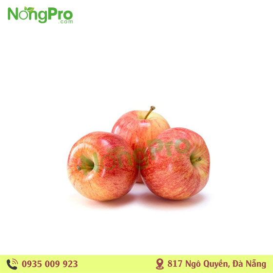 Táo Túi 3kg