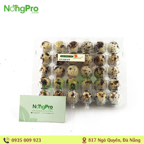 Trứng cút an toàn (30 quả)