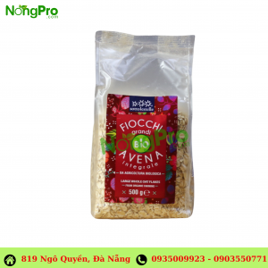 Yến mạch nguyên cám hữu cơ cán lớn Sottolestelle 500g